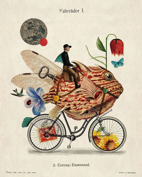Fish-cycle Surrealism vintage. Digital collage. © Beto Val. 2023. Prints: www.elbetoval.com #bicycle #digitalart #elbetoval… | Instagram post from Beto Val (@elbetoval) Art, Collage, Vintage Bicycles, Surrealism, Mixed Media Collage, Vintage, Graffiti, Vintage Bicycle Art, Bicycle Art