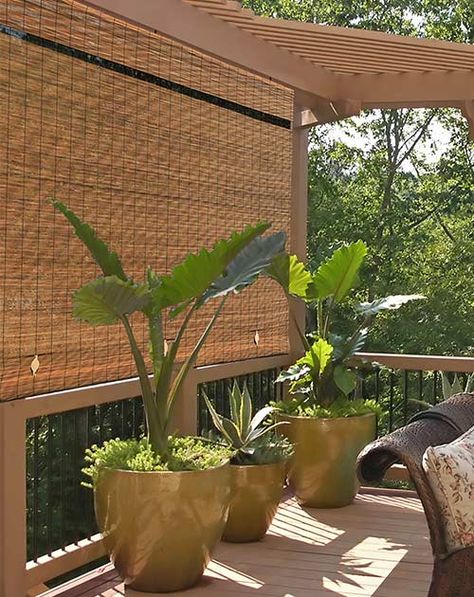 12 Life-Changing Balcony Privacy Ideas - Tiny Partments Exterior, Patio Ideas, Patio Balcony Ideas, Outdoor Patio, Patio Garden, Outdoor Balcony, Patio Privacy, Patio Shade, Patio Decor