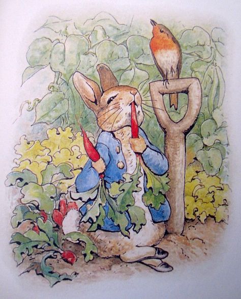 Vintage, Art And Illustration, Illustrators, Beatrix Potter Books, Beatrix Potter Illustrations, Beatrix Potter, Classic Childrens Books, Peter Rabbit And Friends, Benjamin Bunny