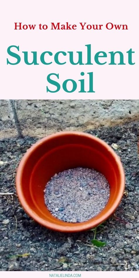 How To Water Succulents, Succulent Soil, Succulent Care, Repotting Succulents, Growing Succulents From Seed, Succulent Gardening, Best Soil For Succulents, Propagating Succulents, Container Garden Succulents