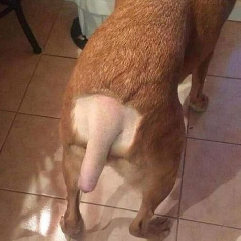 101 Cursed Images To Provide You Your Daily Dose Of Disturbing | Bored Panda Funny Images, Really Funny Pictures, Really Funny, Very Funny Pictures, Very Funny, Mess Up, Meme, Cursed Images, Weird Images