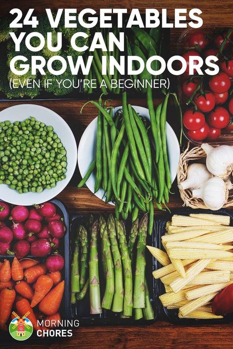 Want to learn growing vegetable indoors? Here's a complete list of 24 vegetables to grow indoors to supply you with healthy fresh veggies. Gardening, Growing Vegetables, Garden Types, Growing Food Indoors, Veggie Garden, Growing Food, Veg Garden, Indoor Vegetable Gardening, Growing Veggies