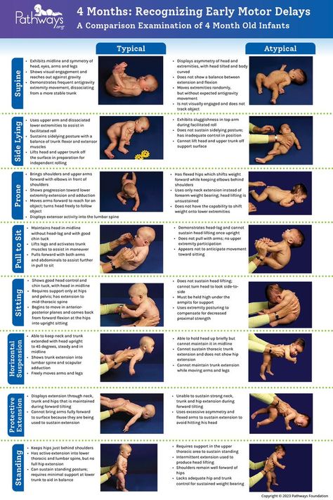 Check out our 4 Month Old Baby Typical and Atypical Motor Development reference guide includes a breakdown of the eight positions healthcare providers use to determine if intervention is needed, and what parents can look for in baby’s development. Head over to Pathways.org to download and print the handout, which is available in multiple languages! #babydevelopment #motordevelopment #motorskills #grossmotor #pediatrictherapy #4monthold #physicaltherapy Parents, 4 Month Old Development, 3 Months Old Development, Baby Development Activities, Baby Development Milestones, Newborn Development, Baby Development Chart, Stages Of Baby Development, Developmental Milestones