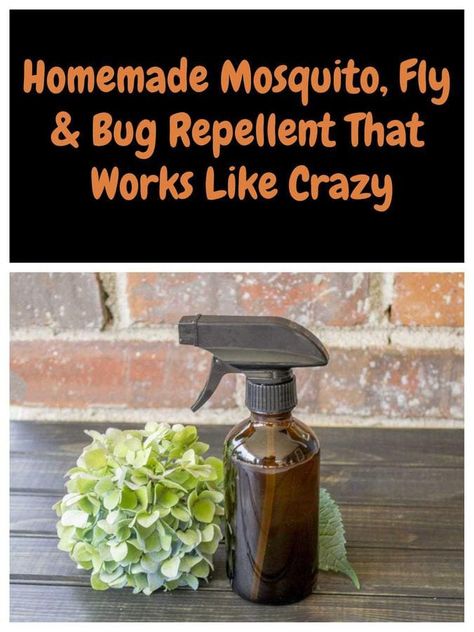 This natural herbal spray will repel mosquitoes, flies and other annoying bugs and stop you getting bitten this summer. Outdoor, Gardening, Homemade Mosquito Repellent For Skin, Homemade Bug Repellent, Mosquito Repellent Homemade, Bug Repellent Spray, Mosquito Repellent Spray, Homemade Bug Spray, Mosquito Repellent