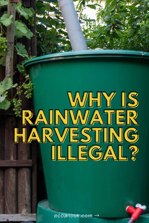 rainwater collection system Rain, Groundwater, Rain Collection, Water Garden, Water Collection, Water Conservation, Rain Garden, Water Scarcity