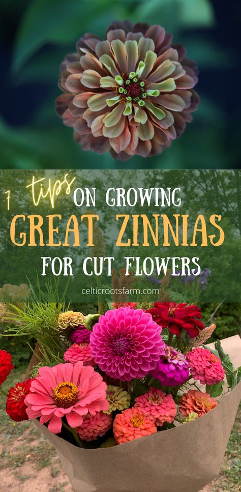 two pictures, one of a close up of an orange and multi coloured zinnia, the second of a bouquet filled with mostly zinnias Bouquets, Outdoor, Gardening, Planting Flowers, Growing Cut Flowers, Growing Flowers, Easiest Flowers To Grow, Zinnia Garden, Perennial