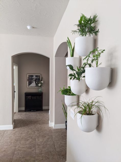 Indoor Plant Wall - Modern Boho Planter Pots - The DIY Lighthouse Home Décor, Hanging Plants Indoor, Plant Decor Indoor, Wall Hanging Plants Indoor, Hanging Plant Wall, Plants On Wall Indoor, Hanging Planters, Wall Plants Indoor, Indoor Plant Wall