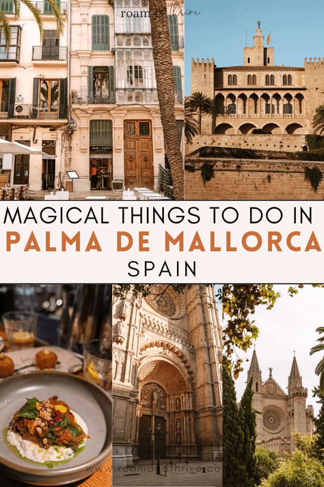 Palmas, Instagram, Ibiza, Euro, Tenerife, Voyage, Vacation, Eat, Playa