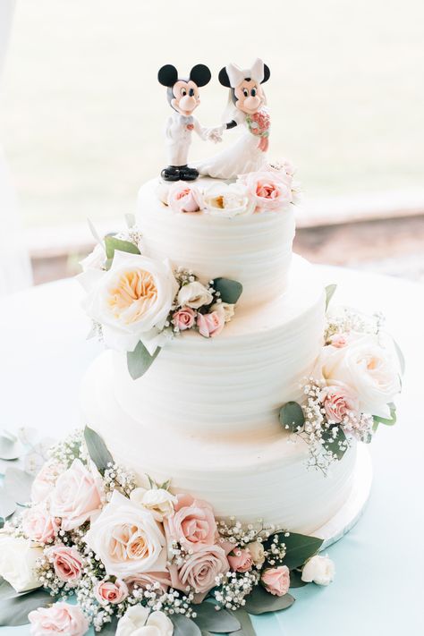 Pastel, Wedding Cake Designs, Wedding Cakes, Wedding Cake Toppers, Disney Wedding Cake Toppers, Cool Wedding Cakes, Disney Wedding Cake, Wedding Cake Simple Elegant, Simple Wedding Cake