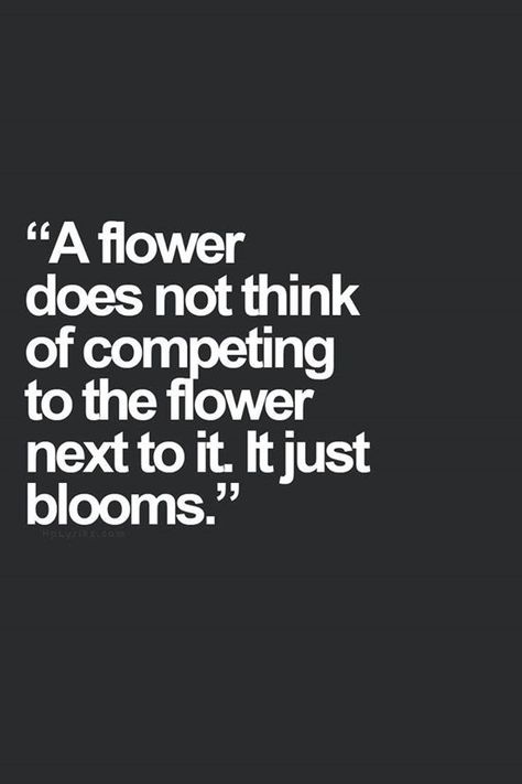 It just blooms.. #competition Food for thought... There is no point worrying about the competition! Yeah so fu(k you bitches Inspirational Quotes, Life Quotes, Sayings, Humour, Motivation, Quotes To Live By, Inspirational Words, Words Quotes, Best Quotes
