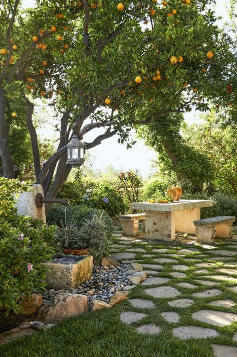 Outdoor, Garden Design, Pergola, Tuin, Home And Garden, Garden, Garden Inspiration, Jardim, Outdoor Gardens