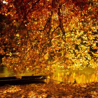 Halcyon Days: October's Bright Blue Weather -- A Poem Autumn, Nature, Pastel, Autumn Day, Beautiful, Fotos, Fotografia, Autumn Scenes, Photo Reference