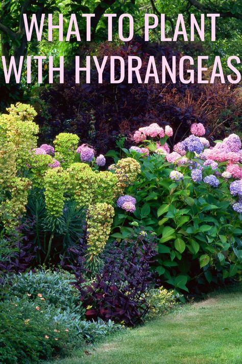 pink and purple hydrangeas mixed with other plants to form a hedge Design, Diy, Gardening, Exterior, Perfect Garden, Create, Pergola, Beautiful Backyards, Hydrangia