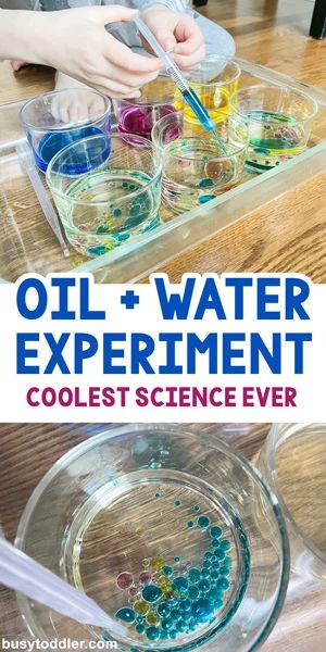 Pre K, Play, Montessori, Water Science Experiments, Oil And Water Experiment, Sensory Water, Water Experiments For Kids, Experiments For Kids Easy, Science Experiments For Kids