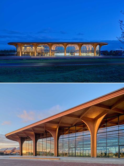 Design, Pavilion Architecture, Architecture, Pavilion Design, Roof Structure, Cathedral, Timber Architecture, Timber Structure, Facade Design