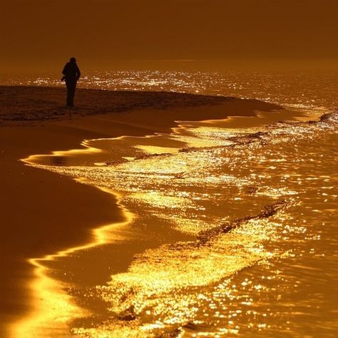 Liquid Gold, beach walk sand ocean Nature, Sunset, Sunrise, Sunrise Sunset, Golden Beach, Water Element, Ocean, Scenery, Gold Aesthetic