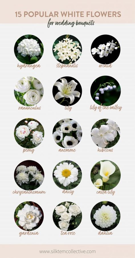 Floral, White Wedding Flowers Bouquet, White Wedding Flowers, Wedding Flower Types, White Wedding Bouquets, White Bouquet, White Flower Bouquet, White Flowers Bouquet, Ivory Flowers