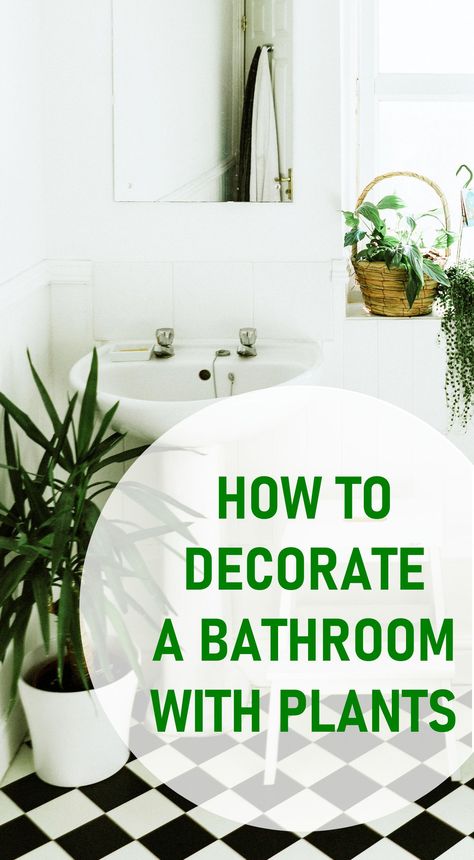 How to Decorate Your Bathroom with Plants Floral, Airstream, Design, Decoration, Ideas, Bad, Easy, Pins, Dream