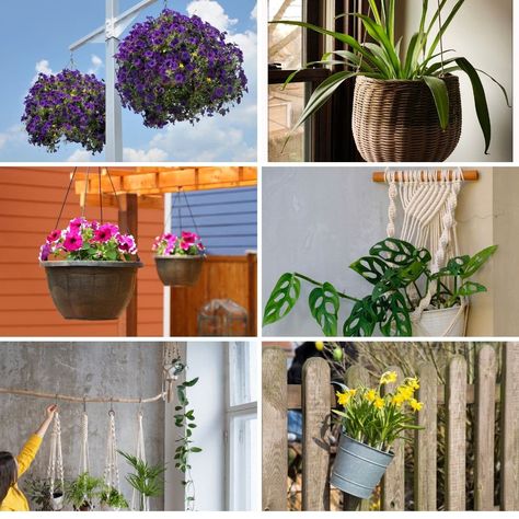 Create more space for beautiful blooms in your home with these 18 hanging planter ideas. Find easy DIY ideas and clever home hacks. Gardening, Ideas, Diy, Outdoor, Hanging Planters, Hanging Pots, Diy Hanging Planter, Hanging Plants, Hanging Plants Indoor