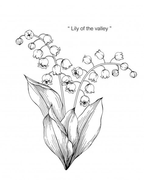 Lily of the valley flower drawing illust... | Premium Vector #Freepik #vector #background #pattern #flower #wedding Line Art, Ink, Tattoo, Flower Tattoos, Lilies Drawing, Flower Line Drawings, Flower Drawing, Flower Art, Floral Drawing