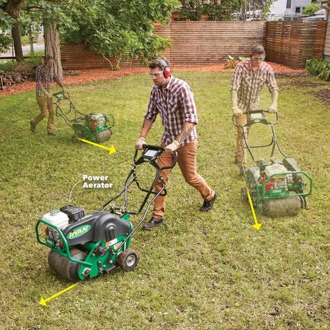 Restore a Weedy & Patchy Lawn — The Family Handyman Exterior, Popular, Outdoor, Gardening, Lawn Care, Yard Care, Yard Work, Lawn Sprinklers, Lawn Care Tips
