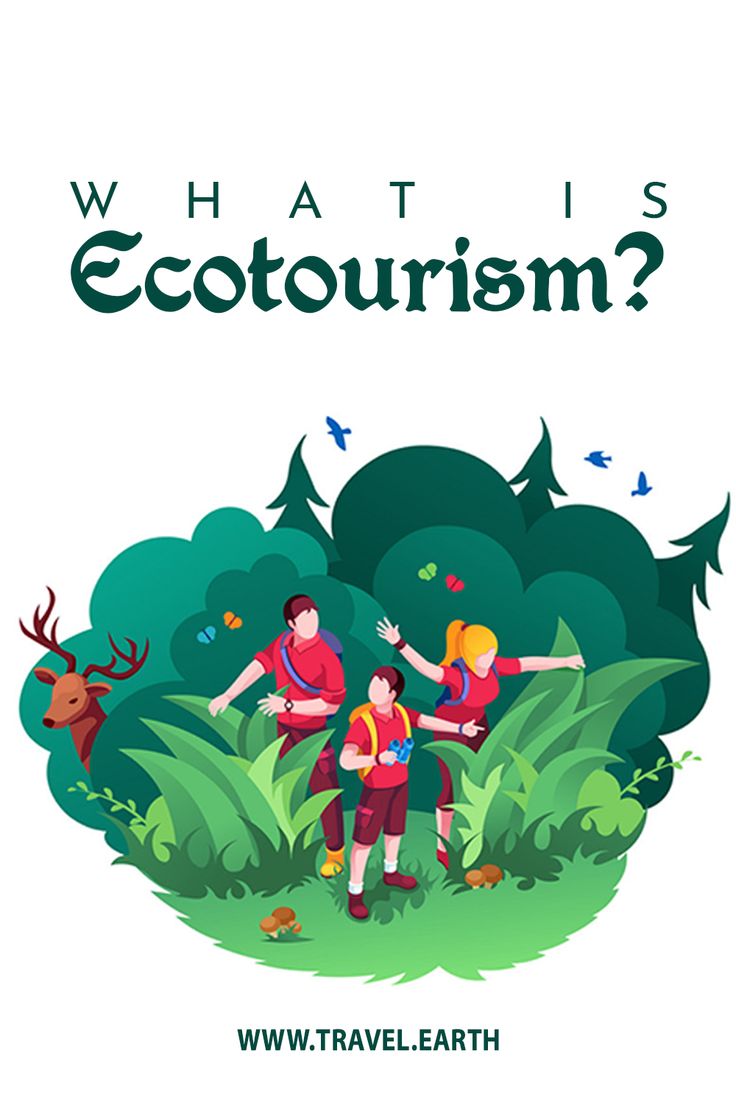 the cover of what is ecotourism? with three people standing in front of trees