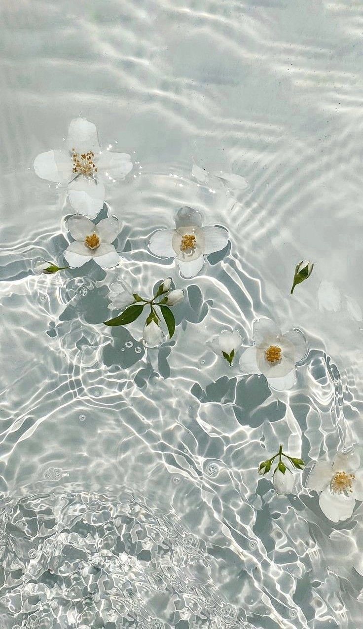 white flowers floating in water with ripples on the surface