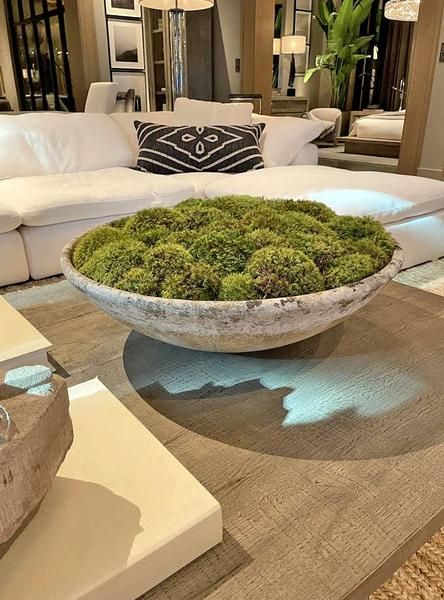 a moss covered bowl sitting on top of a wooden table in a living room next to a white couch