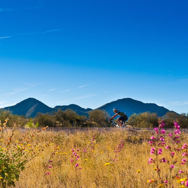 a person riding a bike through a field with mountains in the background