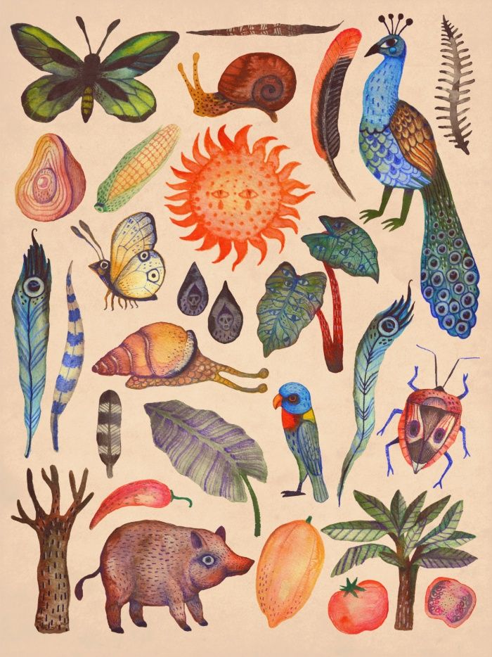 an illustration of different types of animals and plants