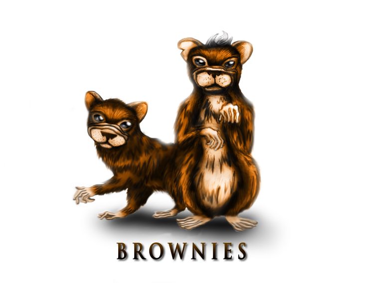 two brown monkeys standing next to each other with the words browns on it's back