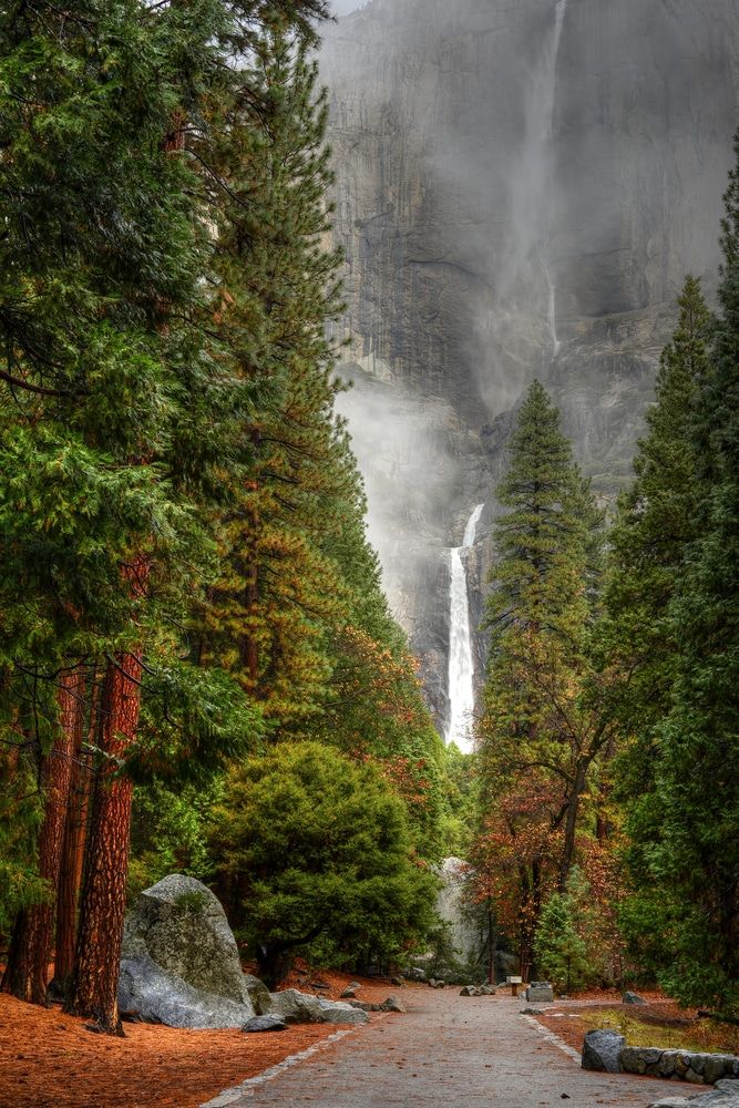 the road is surrounded by tall trees and fog in the background, with an image of a waterfall on it's side