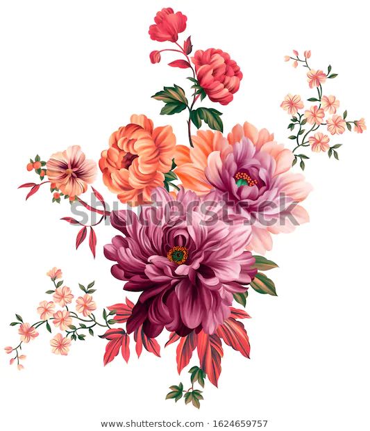 a bouquet of flowers on a white background is shown in full bloom, with orange and pink blooms