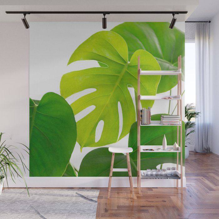 a large green leafy plant on a white wall mural in an office space with wooden flooring