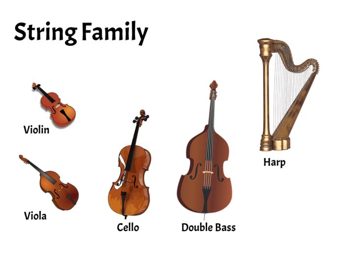 an image of a violin and other musical instruments that are labeled in the words string family