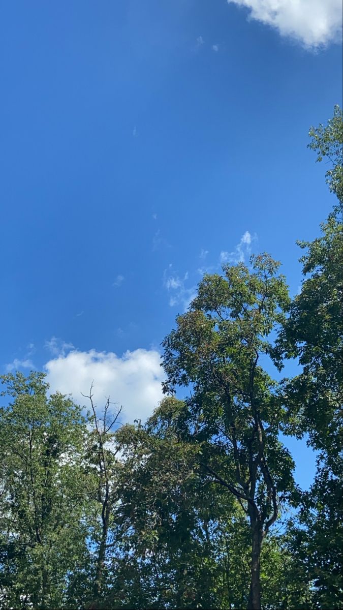 an airplane is flying in the sky over some trees and grass, with a few clouds above it