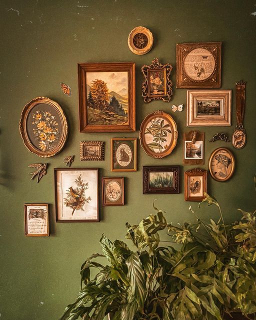 there are many framed pictures on the wall next to a potted plant in front of it
