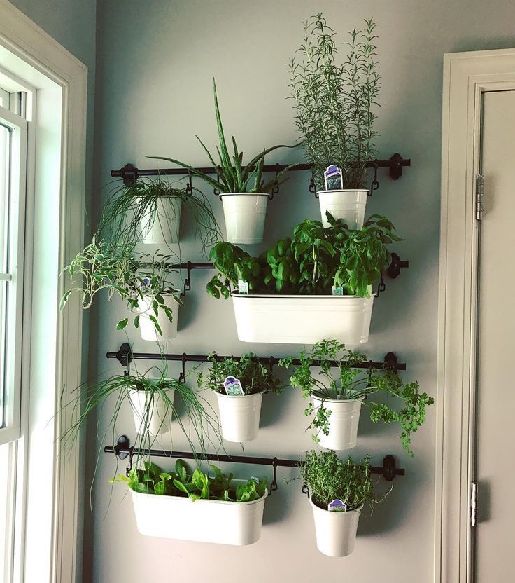 a wall mounted planter filled with lots of green plants