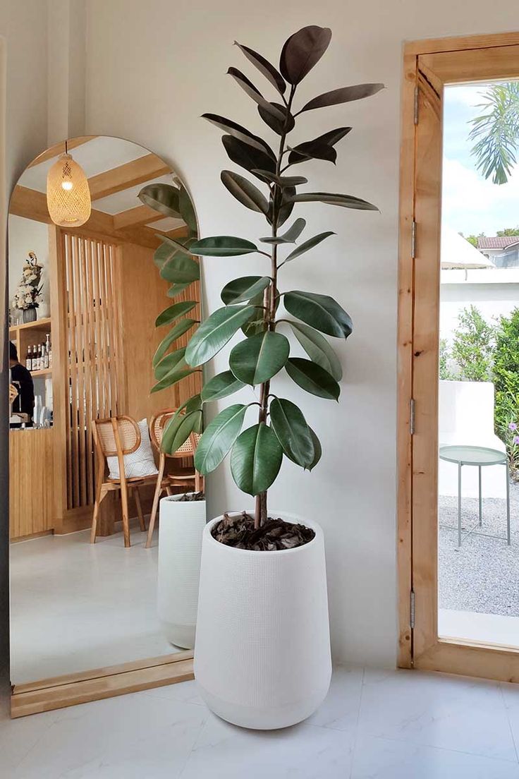 a potted plant sitting on top of a white table next to a mirror in a room