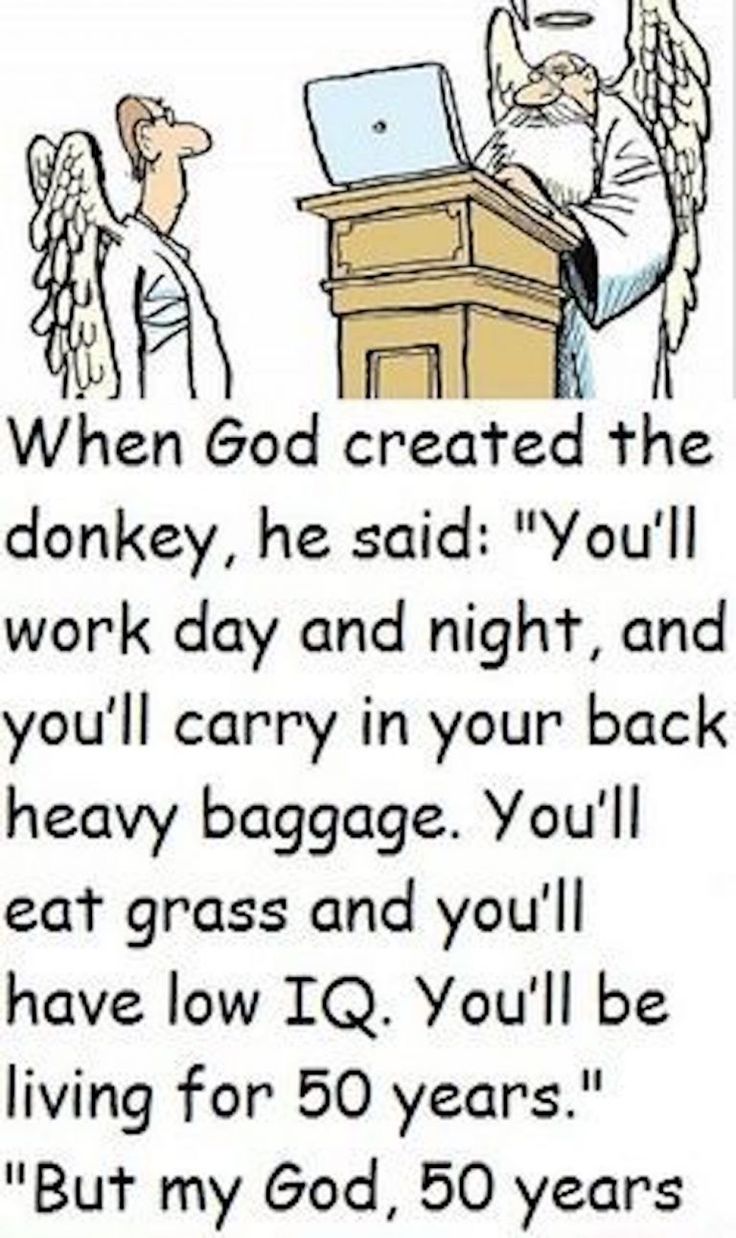 an old man sitting at a desk in front of a laptop computer with the caption when god created the donkey he said you'll work and night, and