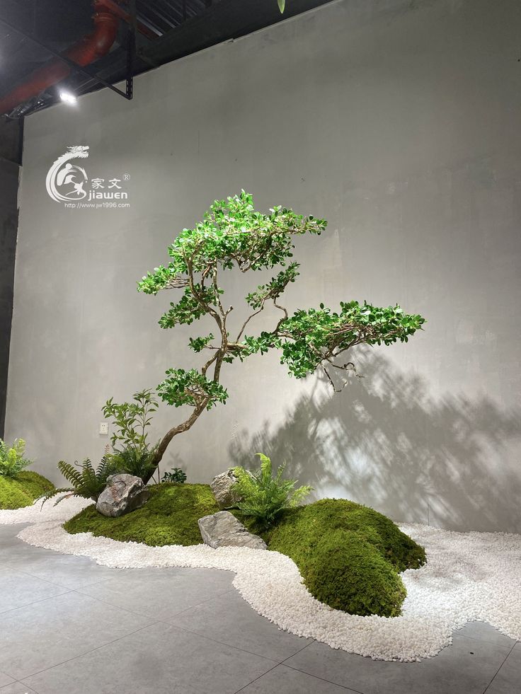 a bonsai tree is displayed in front of a wall with moss growing on it