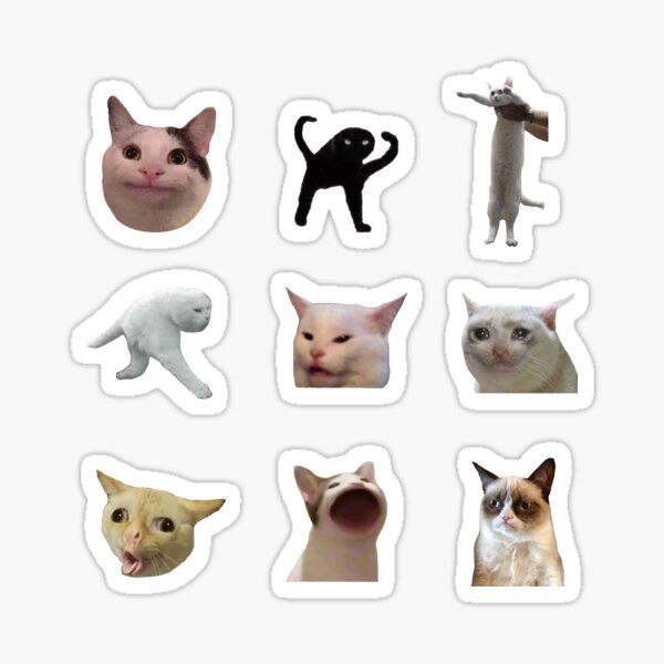 six different types of cats stickers on a white background, with one cat looking at the camera