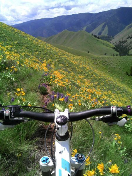 a bicycle is parked on the side of a hill with wildflowers and mountains in the background