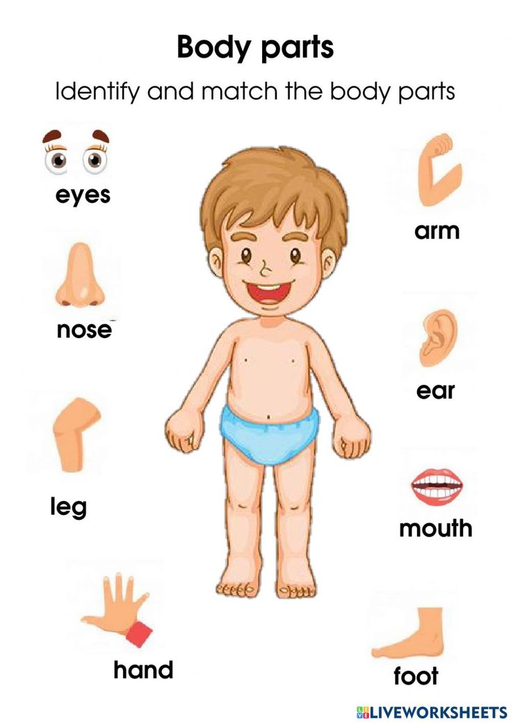 the body parts are labeled in this poster, which includes an image of a child's face and hands