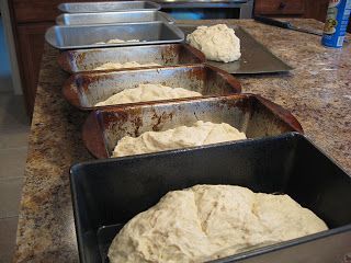 four pans filled with dough sitting on top of a counter