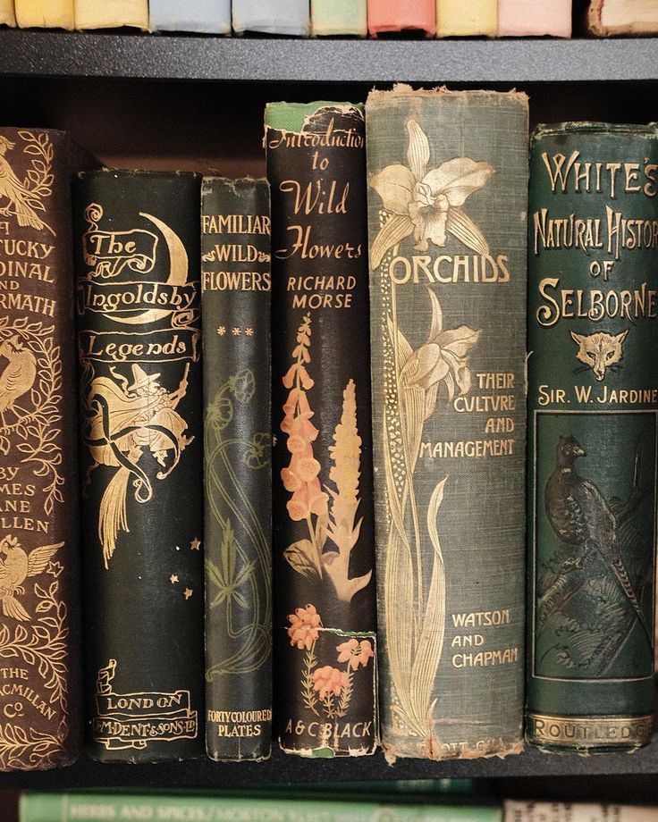 old books are lined up on a shelf in a bookcase with other books behind them