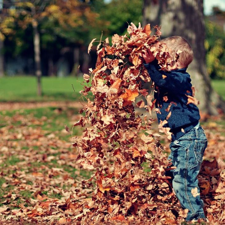 a young boy playing with leaves in the park