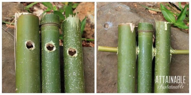 three pictures of bamboo sticks with holes in them