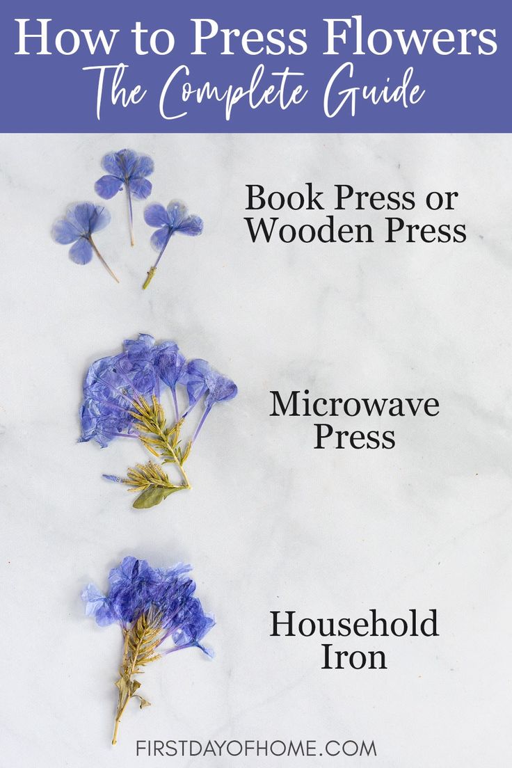 the complete guide to how to press flowers in your book or wooden press, including instructions