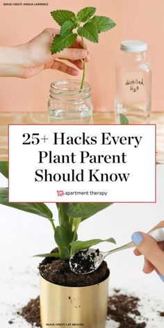 a plant in a pot with the words 25 hacks every plant parent should know